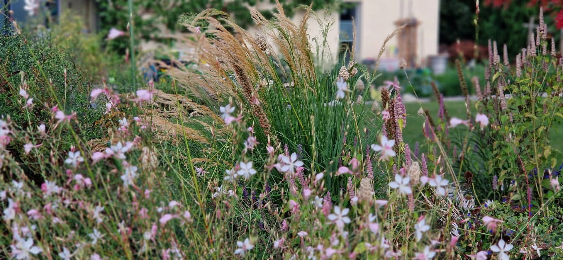 Gartenbau in Aadorf