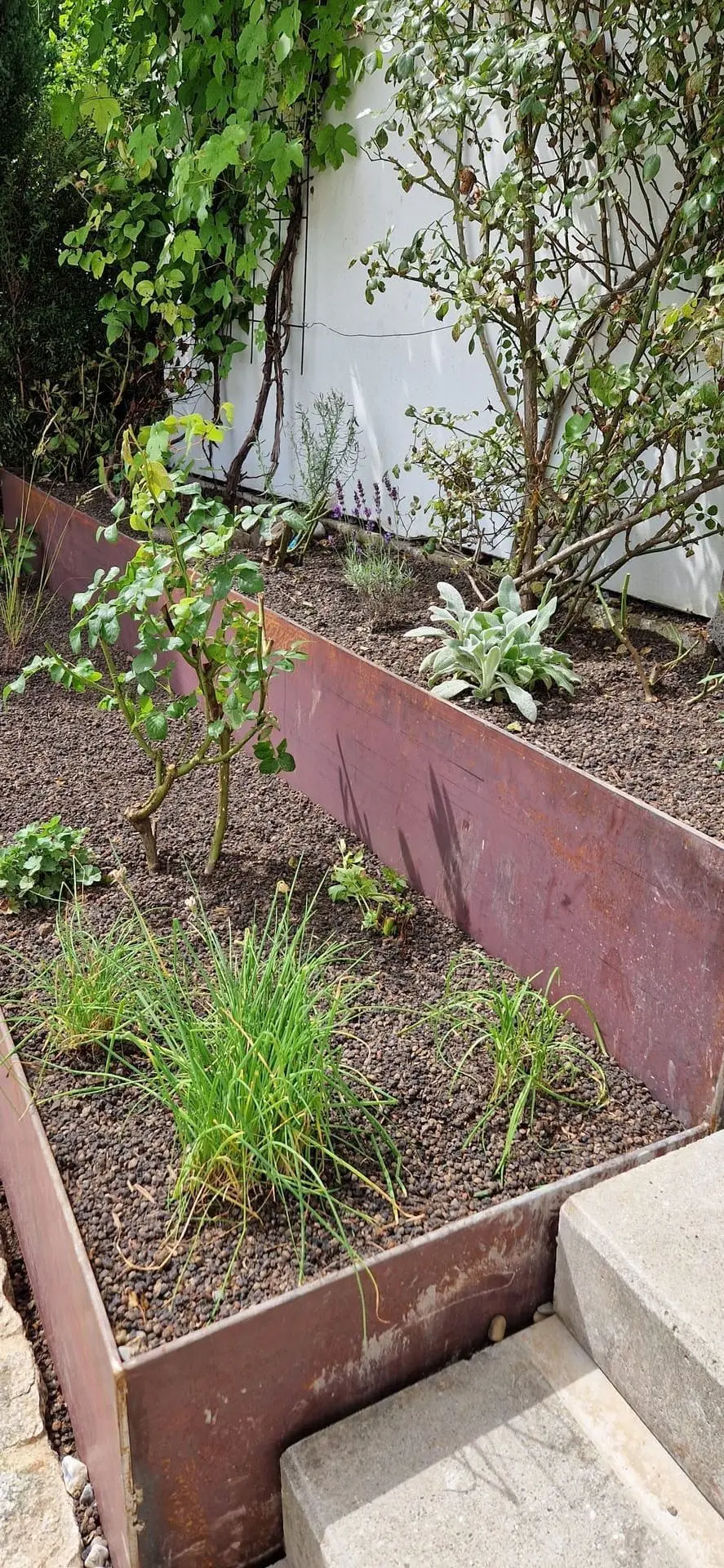 Gartenprojekt in Gachnang - Bild 4