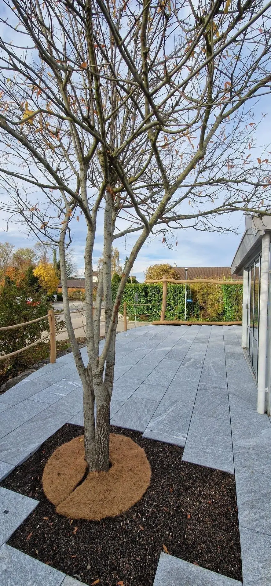 Gartensanierung Herbst 2025 in Aadorf - Bild 4