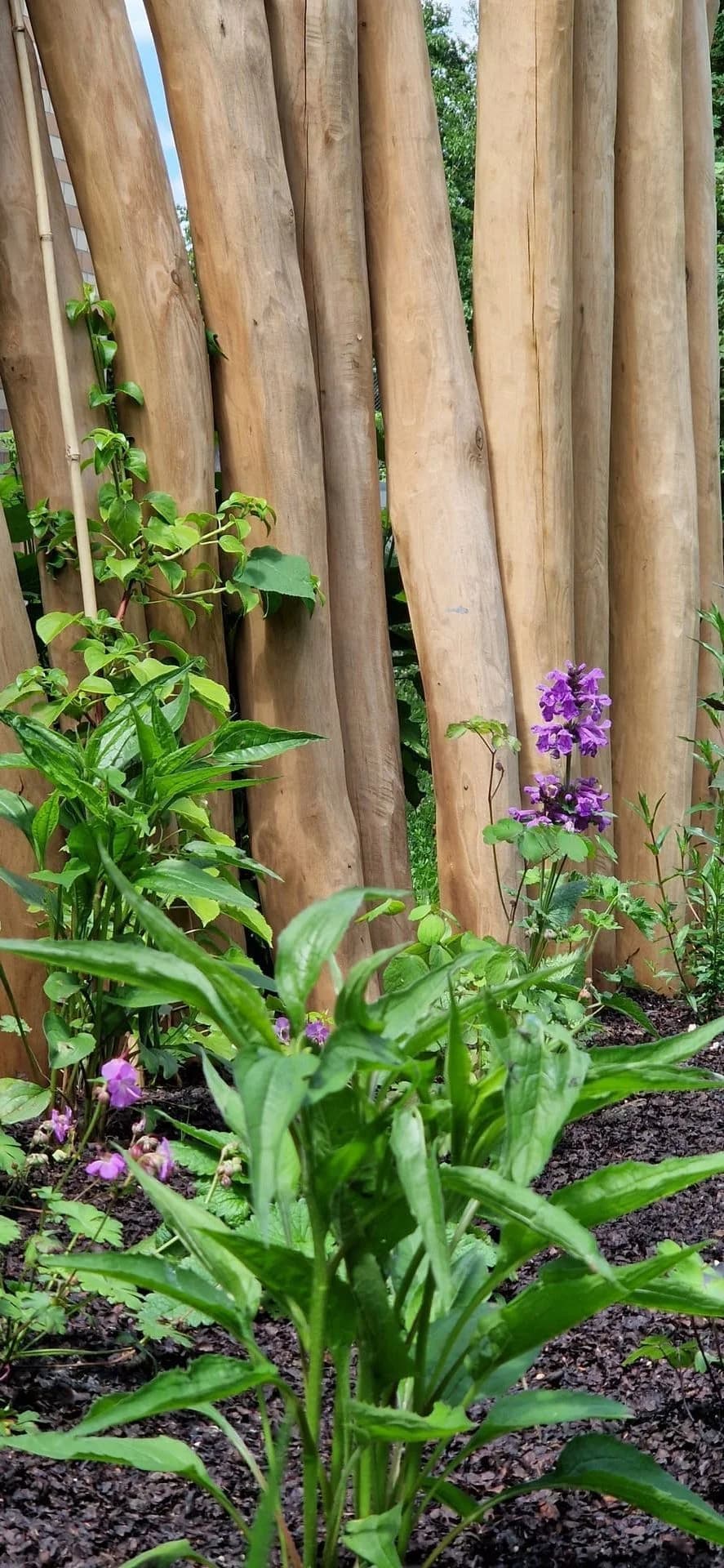 Mischbepflanzung Projekt 7