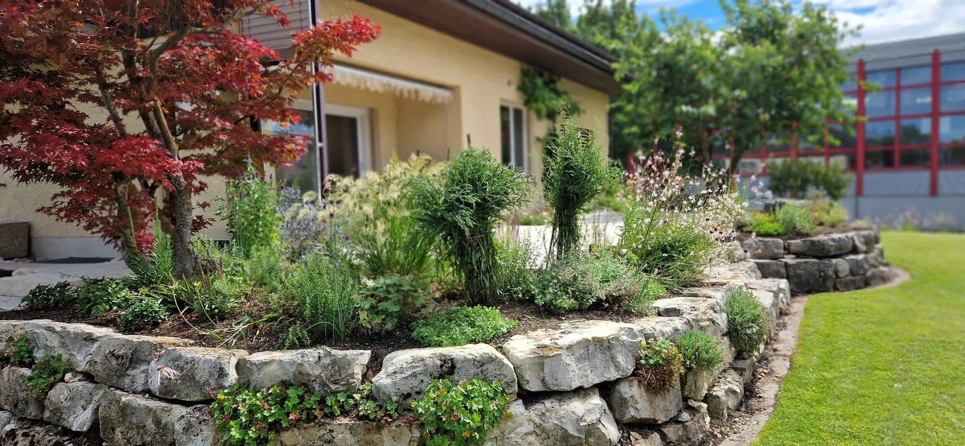 Staudenmischung Thurgau