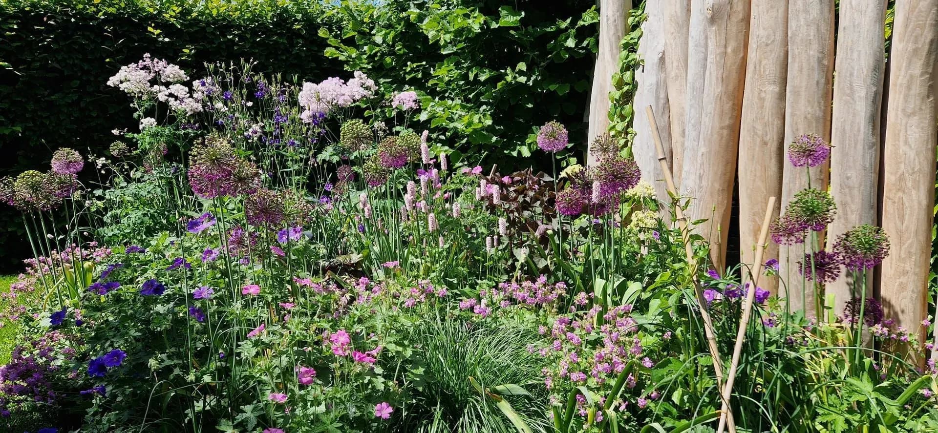 Pflanzenvielfalt Thurgau