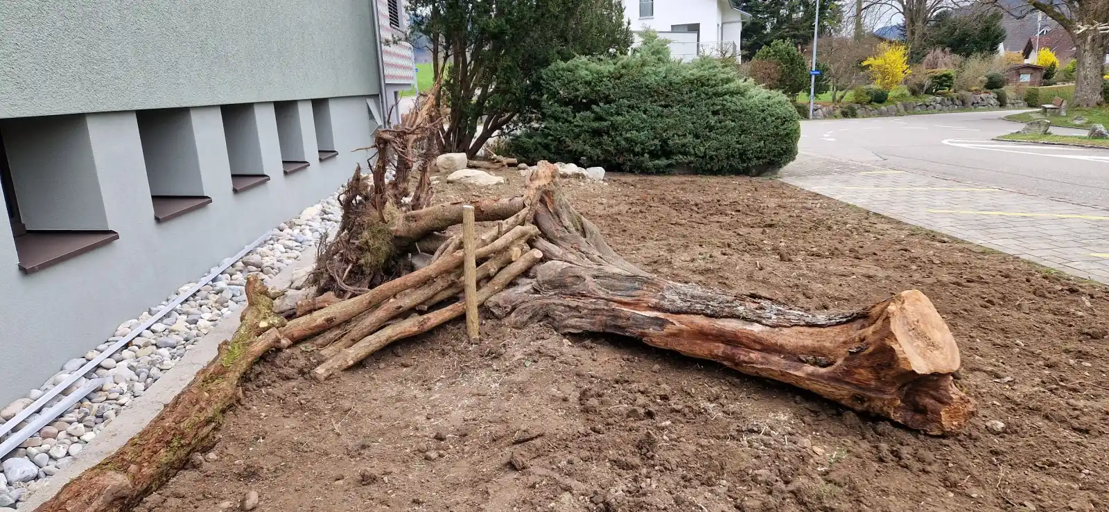 Biodiversität Projekt 5