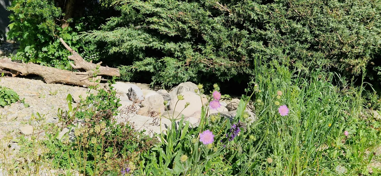 Biodiversität Projekt 6