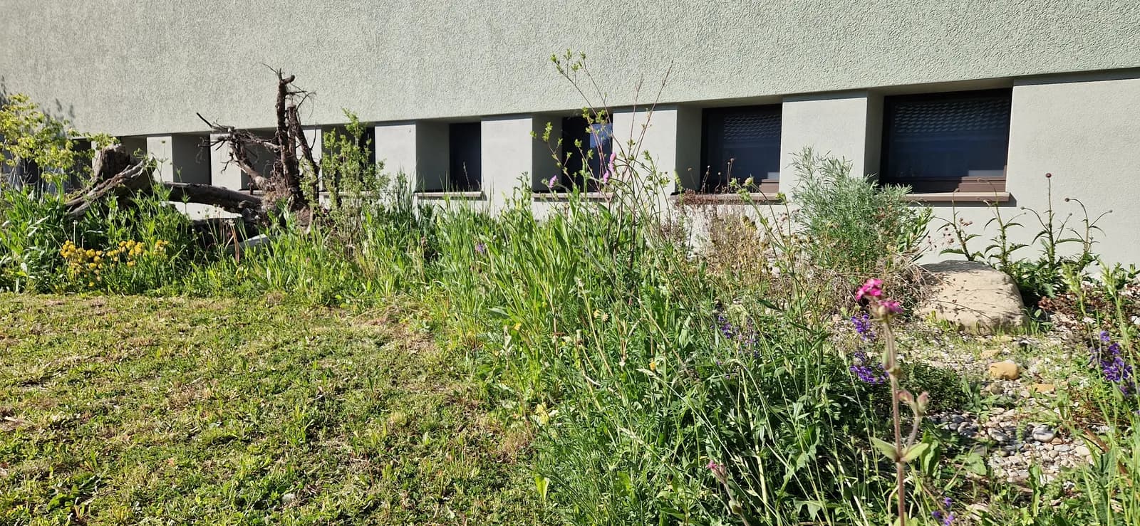 Weitere Bilder