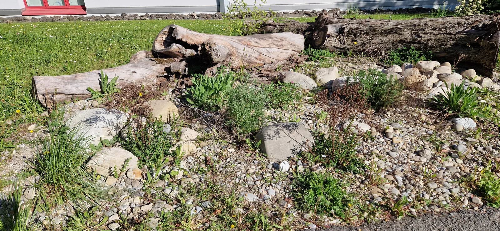 Biodiversität Projekt 5