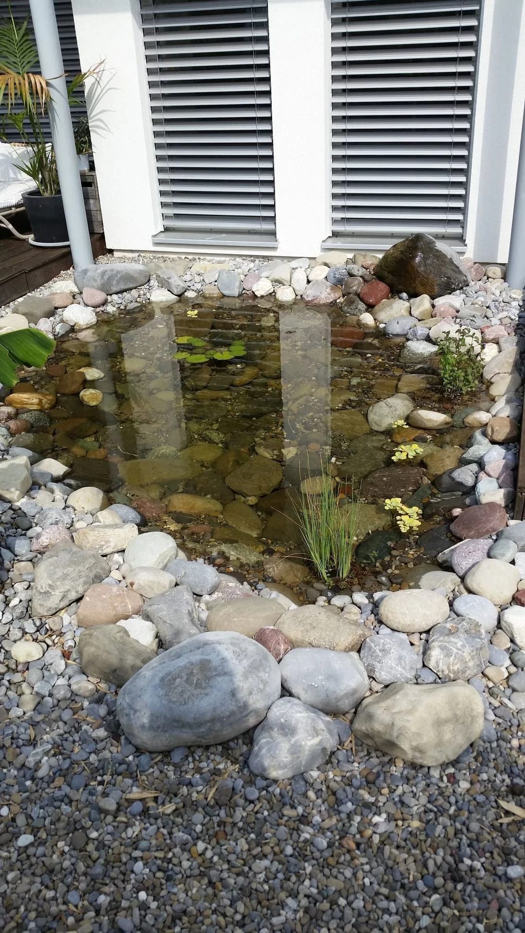 Biotop Projekt 5