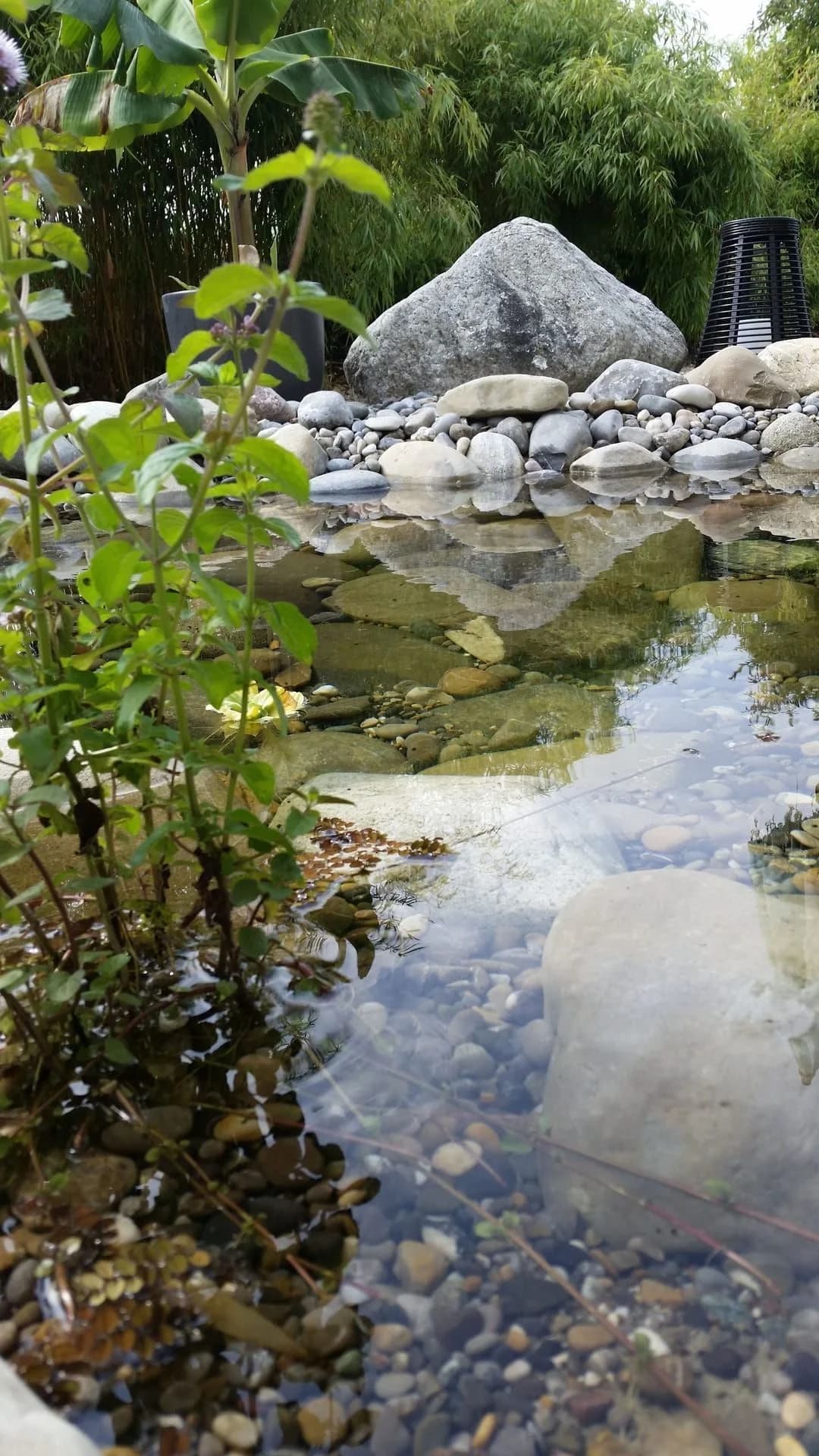Teichpflege & Biotop-Unterhalt - Ritzmann Gartenbau Aadorf