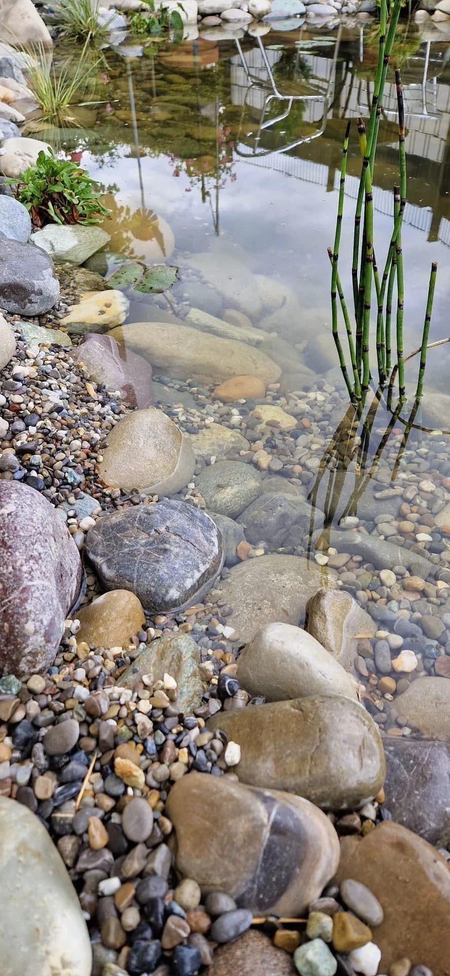 Wassergarten Thurgau