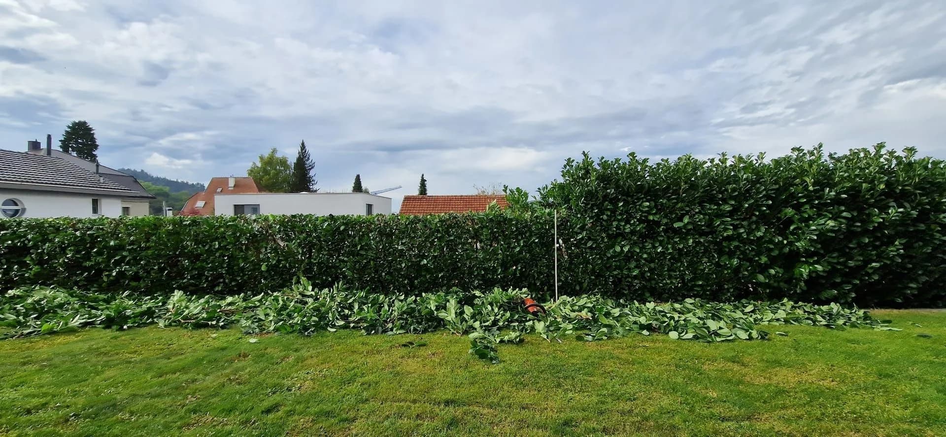 Heckenschnitt Thurgau