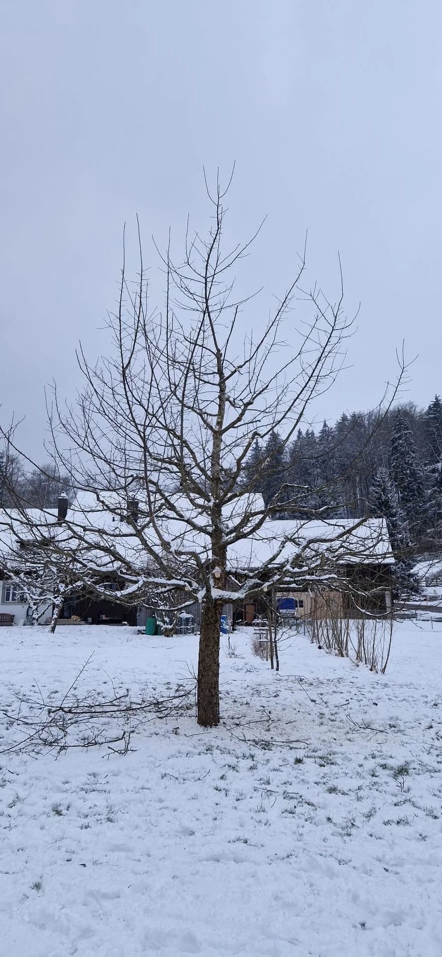 Gartenpflege Projekt Thurgau