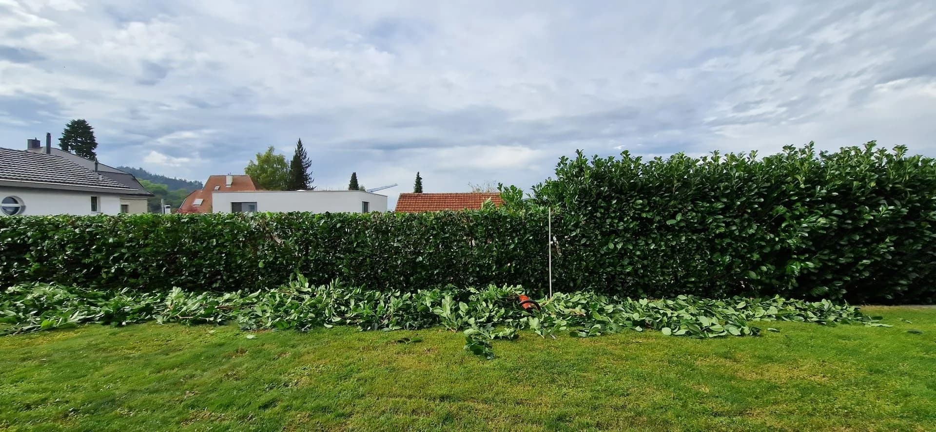 Gartenpflege & Gartenunterhalt