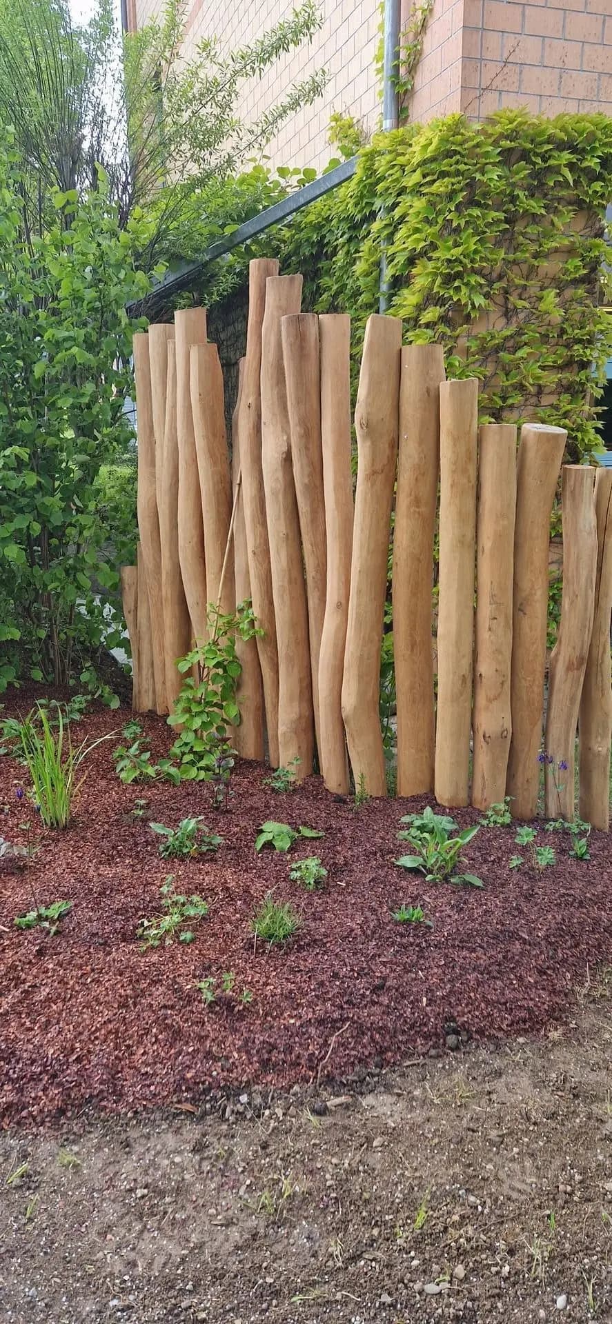 Sichtschutz Projekt Thurgau 7