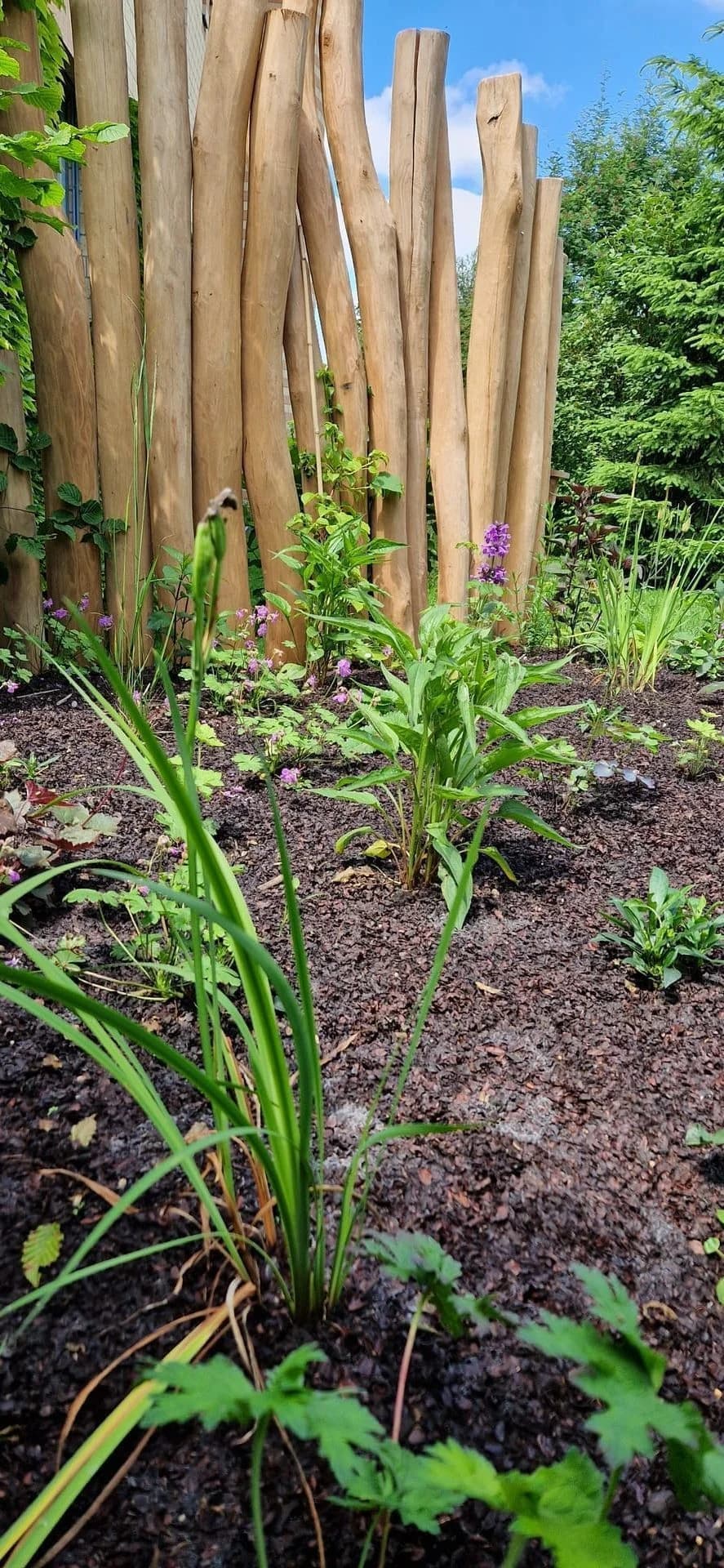 Sichtschutz Projekt Thurgau 4