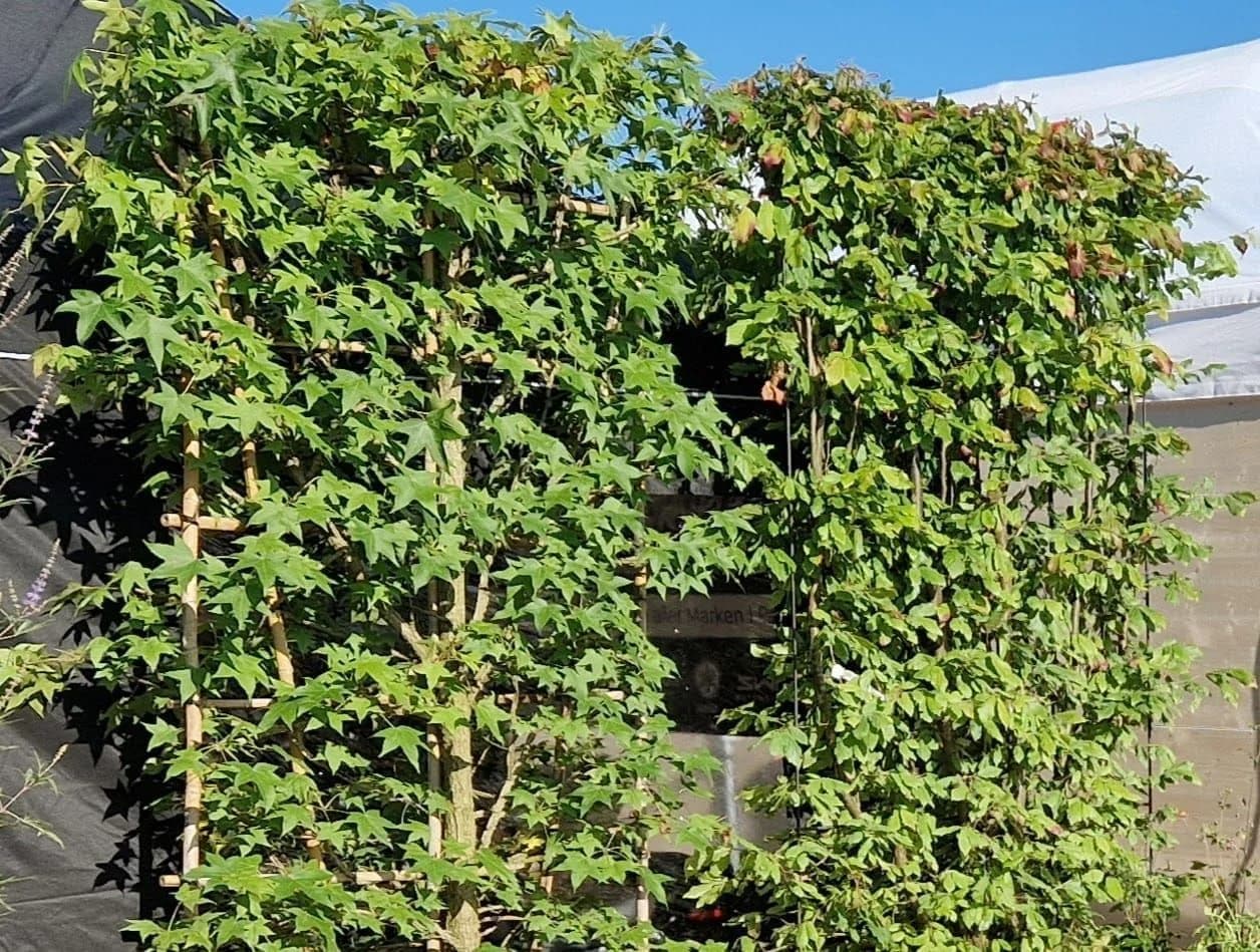 Holzsichtschutz Thurgau